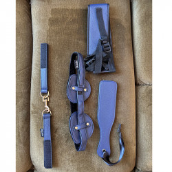 blue BDSM set